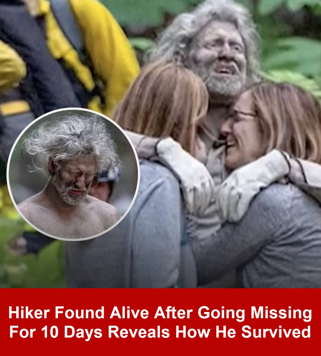 He was stranded in the mountains of northern California. Check the comments